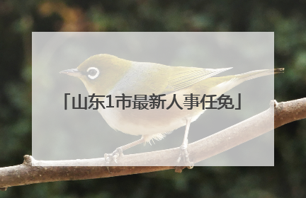 山东1市最新人事任免