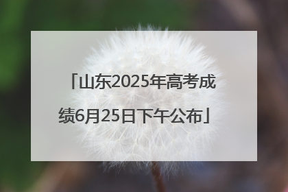 山东2025年高考成绩6月25日下午公布