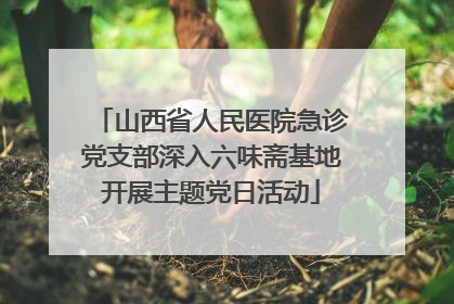 山西省人民医院急诊党支部深入六味斋基地开展主题党日活动