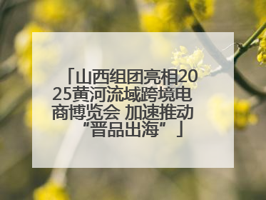 山西组团亮相2025黄河流域跨境电商博览会 加速推动“晋品出海”