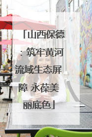 山西保德：筑牢黄河流域生态屏障 永葆美丽底色