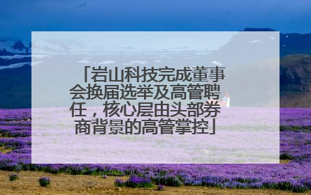 岩山科技完成董事会换届选举及高管聘任，核心层由头部券商背景的高管掌控