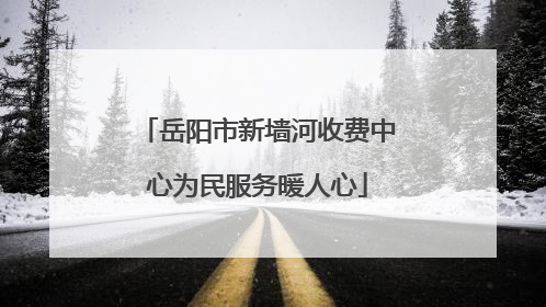 岳阳市新墙河收费中心为民服务暖人心