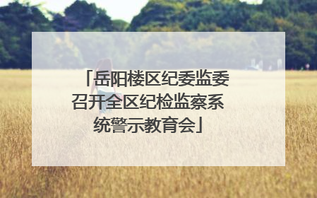 岳阳楼区纪委监委召开全区纪检监察系统警示教育会