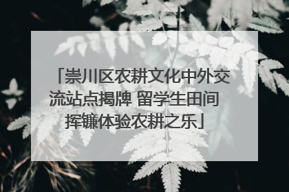 崇川区农耕文化中外交流站点揭牌 留学生田间挥镰体验农耕之乐