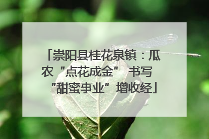 崇阳县桂花泉镇：瓜农“点花成金” 书写“甜蜜事业”增收经