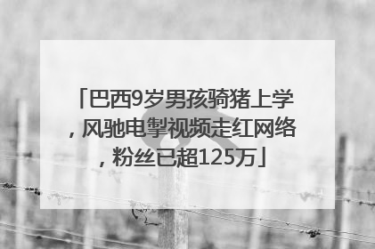 巴西9岁男孩骑猪上学，风驰电掣视频走红网络，粉丝已超125万