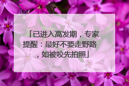 已进入高发期，专家提醒：最好不要走野路，如被咬先拍照