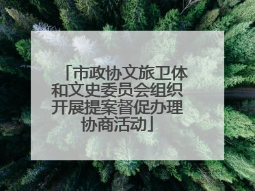 市政协文旅卫体和文史委员会组织开展提案督促办理协商活动