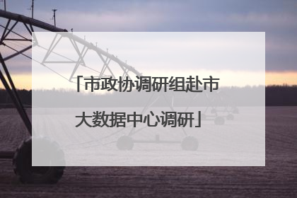 市政协调研组赴市大数据中心调研