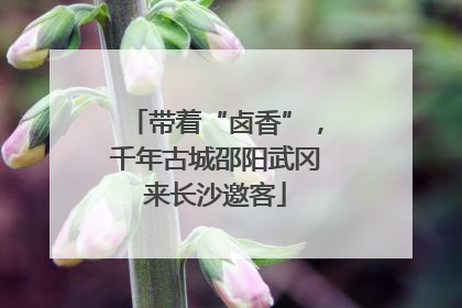 带着“卤香”，千年古城邵阳武冈来长沙邀客