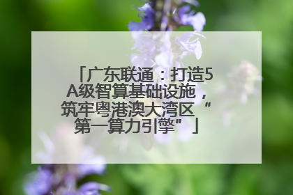 广东联通：打造5A级智算基础设施，筑牢粤港澳大湾区“第一算力引擎”