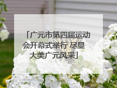 广元市第四届运动会开幕式举行 尽显大美广元风采