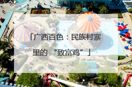 广西百色：民族村寨里的 “致富鸡”