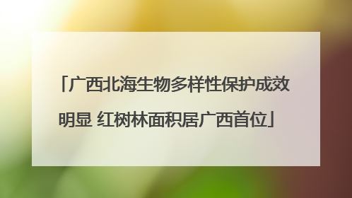 广西北海生物多样性保护成效明显 红树林面积居广西首位