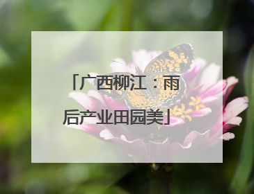 广西柳江：雨后产业田园美