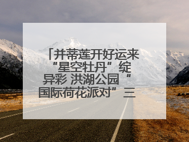 并蒂莲开好运来 “星空牡丹”绽异彩 洪湖公园“国际荷花派对”三天迎客六万