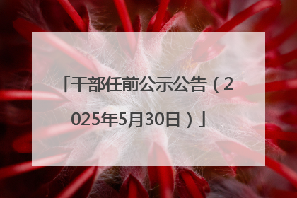 干部任前公示公告（2025年5月30日）