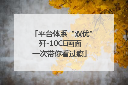 平台体系“双优” 歼-10CE画面一次带你看过瘾