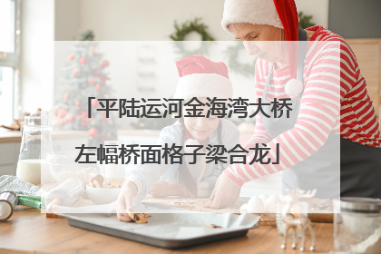 平陆运河金海湾大桥左幅桥面格子梁合龙