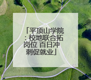 平顶山学院：校地联合拓岗位 百日冲刺促就业
