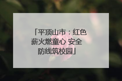 平顶山市：红色薪火燃童心 安全防线筑校园