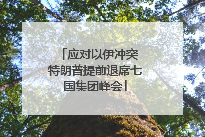 应对以伊冲突 特朗普提前退席七国集团峰会