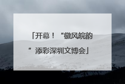 开幕！“徽风皖韵”添彩深圳文博会