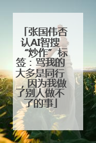 张国伟否认AI智搜“炒作”标签：骂我的大多是同行，因为我做了别人做不了的事