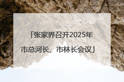 张家界召开2025年市总河长、市林长会议