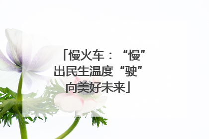慢火车：“慢”出民生温度“驶”向美好未来