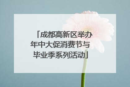 成都高新区举办年中大促消费节与毕业季系列活动