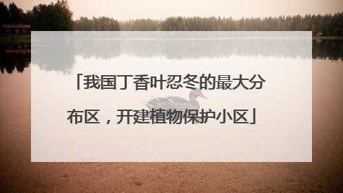 我国丁香叶忍冬的最大分布区，开建植物保护小区