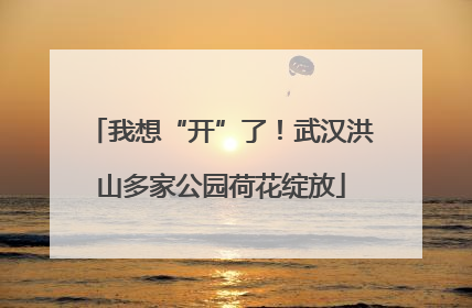 我想“开”了！武汉洪山多家公园荷花绽放