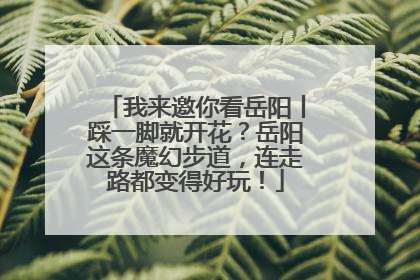 我来邀你看岳阳丨踩一脚就开花？岳阳这条魔幻步道，连走路都变得好玩！