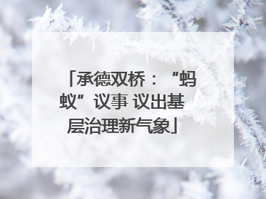 承德双桥：“蚂蚁”议事 议出基层治理新气象