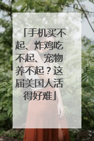 手机买不起、炸鸡吃不起、宠物养不起？这届美国人活得好难
