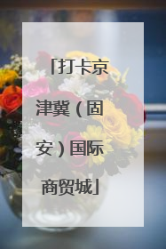 打卡京津冀（固安）国际商贸城