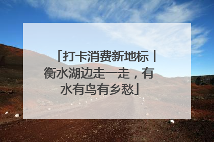 打卡消费新地标丨衡水湖边走一走，有水有鸟有乡愁