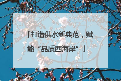 打造供水新典范，赋能“品质西海岸”