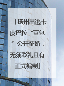 扬州出逃卡皮巴拉“豆包”公开征婚：无须彩礼且有正式编制