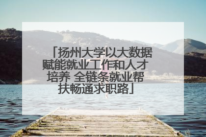 扬州大学以大数据赋能就业工作和人才培养 全链条就业帮扶畅通求职路