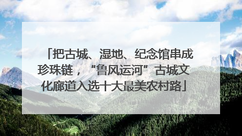 把古城、湿地、纪念馆串成珍珠链，“鲁风运河”古城文化廊道入选十大最美农村路