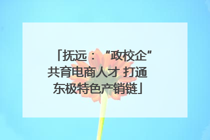 抚远：“政校企”共育电商人才 打通东极特色产销链