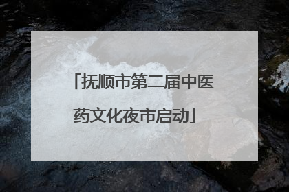 抚顺市第二届中医药文化夜市启动