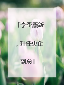 李季履新，升任央企副总