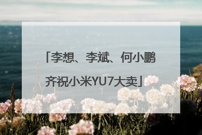 李想、李斌、何小鹏齐祝小米YU7大卖