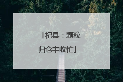 杞县：颗粒归仓丰收忙