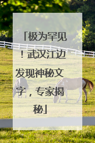 极为罕见！武汉江边发现神秘文字，专家揭秘