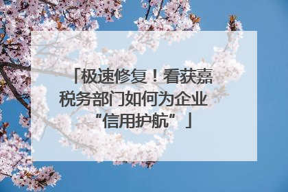极速修复！看获嘉税务部门如何为企业“信用护航”